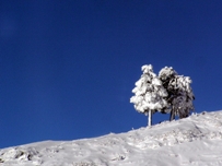 Bariloche