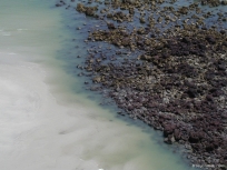 Salin�polis