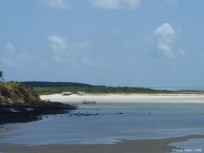 Salin�polis