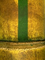 Bambu (Bambusa vulgaris) - Bel�m - Par� - Brasil