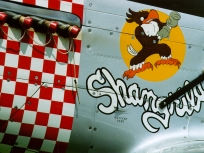 P-51 Mustang